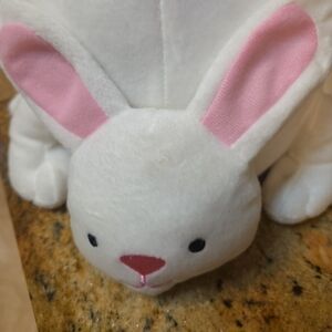 Soft White and Pink Bunny Toy for Small Pets